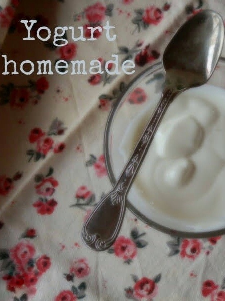 yogurt homemade