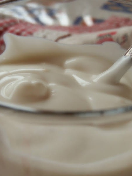 yogurt homemade